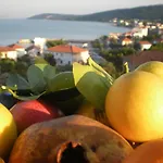 Appartement Jelica