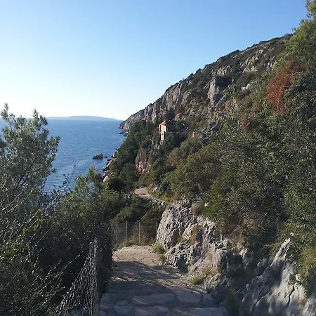 Διαμέρισμα Jelica *